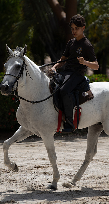 Menino - cavalo